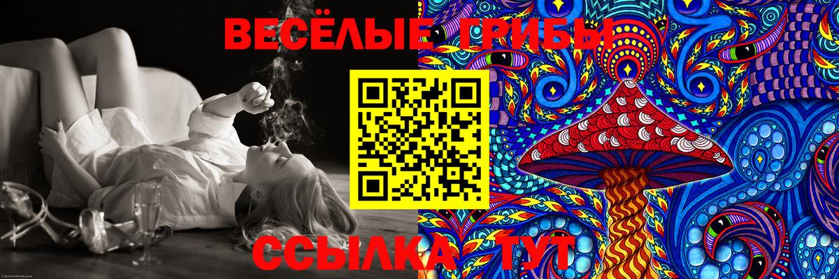 Красный Сулин  Псилоцибиновые грибы MAGIC MUSHROOMS  Галлюциногенные грибы MAGIC MUSHROOMS  Вход с VPN 