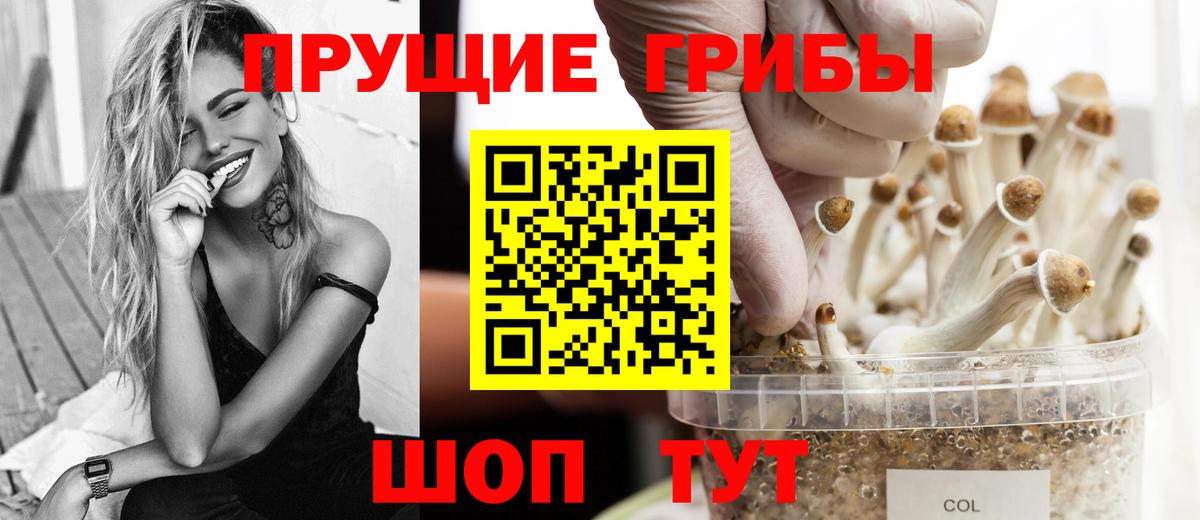 Псилоцибиновые грибы GOLDEN TEACHER Красный Сулин